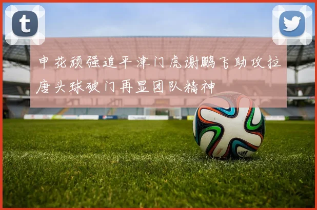 申花顽强追平津门虎谢鹏飞助攻拉唐头球破门再显团队精神